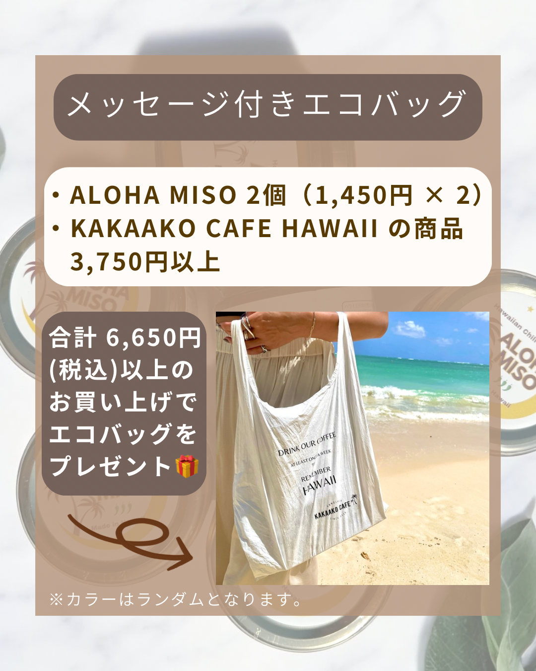 【まとめ買いセット】ALOHA MISO × カフェラテベース × ドリップバッグコーヒー